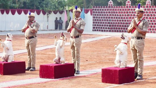 &nbsp;జాగిలాల సేవలను సమర్థవంతంగా వినియోగించుకొని రాష్ట్రానికి పేరు ప్రఖ్యాతలు తీసుకురావాలని హోంమంత్రి తానేటి వనిత అన్నారు.&nbsp;