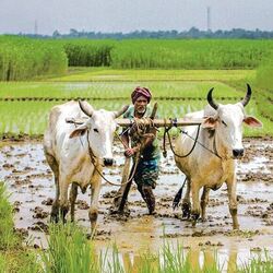 <p>PI Industries: ఎరువులు, పురుగుమందులను ఉత్పత్తి చేసే కంపెనీ పీ ఐ ఇండస్ట్రీస్. షార్ట్ టర్మ్, లాంగ్ టర్మ్ ల్లో ఇది బెస్ట్ ఇన్వెస్ట్ మెంట్ ఆప్షన్. సమీప భవిష్యత్తులో ఇది 30% వరకు రిటర్న్స్ ఇస్తుందని అంచనా.</p>