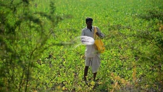 ప్రతీకాత్మక చిత్రం