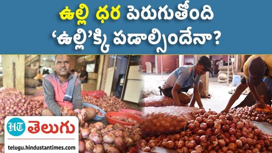Onion price