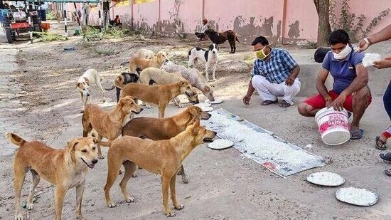 రాహు-కేతులను సంతోషపెట్టే మార్గాలు : రాహుదోషం యొక్క దుష్ప్రభావాలను నివారించడానికి నీలం రంగు దుస్తులను వీలైనంత ఎక్కువగా ధరించాలి. కేతు దోషాలను నివారించడానికి గులాబీ రంగు దుస్తులను ధరించాలి. జాతకంలో రాహు-కేతువులు బలహీనంగా ఉన్నవారు మద్యం, మాంసాహారం తీసుకోకూడదు. కేతువు బలహీనంగా ఉంటే కుక్కలకు సేవ చేయడం, సంరక్షించడం లాభిస్తుంది.