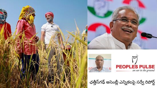 ఛత్తీస్‌గఢ్ అసెంబ్లీ ఎన్నికల క్షేత్రస్థాయి సర్వే రిపోర్ట్