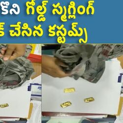 customs seized gold