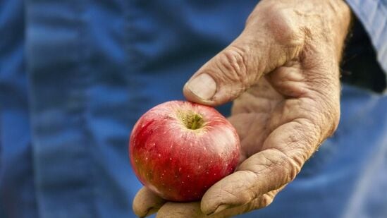 ఈ సంవత్సరం, థాంక్స్ గివింగ్ డే నవంబర్ 23 న జరుపుకుంటారు. ఈ రోజును జరుపుకోవడం యొక్క ఉద్దేశ్యం ప్రియమైన వారికి లేదా అపరిచితులకు ఎలాంటి సహాయం లేదా సహకారం అందించినందుకు ధన్యవాదాలు. ఈ రోజున మీరు వారికి ప్రత్యేక కృతజ్ఞతలు చెప్పవచ్చు. సాధారణంగా ప్రజలు ఈ రోజును తమ కుటుంబం, స్నేహితులతో జరుపుకుంటారు. వారి ఇళ్లలో కలిసి సంప్రదాయ ఆహారాన్ని తింటారు. ఈ సంవత్సరం, థాంక్స్ గివింగ్ డే నవంబర్ 23 న జరుపుకుంటారు. ఈ రోజును జరుపుకోవడం యొక్క ఉద్దేశ్యం ప్రియమైన వారికి లేదా అపరిచితులకు ఎలాంటి సహాయం లేదా సహకారం అందించినందుకు ధన్యవాదాలు. ఈ రోజున మీరు వారికి ప్రత్యేక కృతజ్ఞతలు చెప్పవచ్చు. సాధారణంగా ప్రజలు ఈ రోజును తమ కుటుంబం, స్నేహితులతో జరుపుకుంటారు. వారి ఇళ్లలో కలిసి సంప్రదాయ ఆహారాన్ని తింటారు.