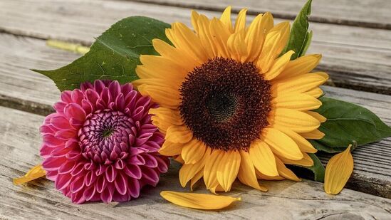 ఇది గొప్ప వేడుక. నిజానికి ఒకరికొకరు అండగా నిలవడానికి, ఆపద సమయంలో ఆపన్నహస్తం అందించడానికి, రాబోయే రోజులు గొప్పగా ఉండాలని కోరుకోవడానికి ఈ రోజును సంవత్సరాలుగా జరుపుకుంటున్నారు. ఇది గొప్ప వేడుక. నిజానికి ఒకరికొకరు అండగా నిలవడానికి, ఆపద సమయంలో ఆపన్నహస్తం అందించడానికి, రాబోయే రోజులు గొప్పగా ఉండాలని కోరుకోవడానికి ఈ రోజును సంవత్సరాలుగా జరుపుకుంటున్నారు. 