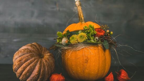  ఈ రోజున సంప్రదాయ వంటకాలు వండుతారు. అంతే కాకుండా ఈ రోజున టర్కీ మాంసం కూడా తింటారు. చాలా మంది ఈ రోజున కొత్త పంటలు కూడా వేస్తారు. ఈ రోజున సంప్రదాయ వంటకాలు వండుతారు. అంతే కాకుండా ఈ రోజున టర్కీ మాంసం కూడా తింటారు. చాలా మంది ఈ రోజున కొత్త పంటలు కూడా వేస్తారు. 