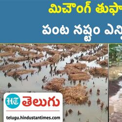 agricultural crops damaged