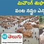 agricultural crops damaged