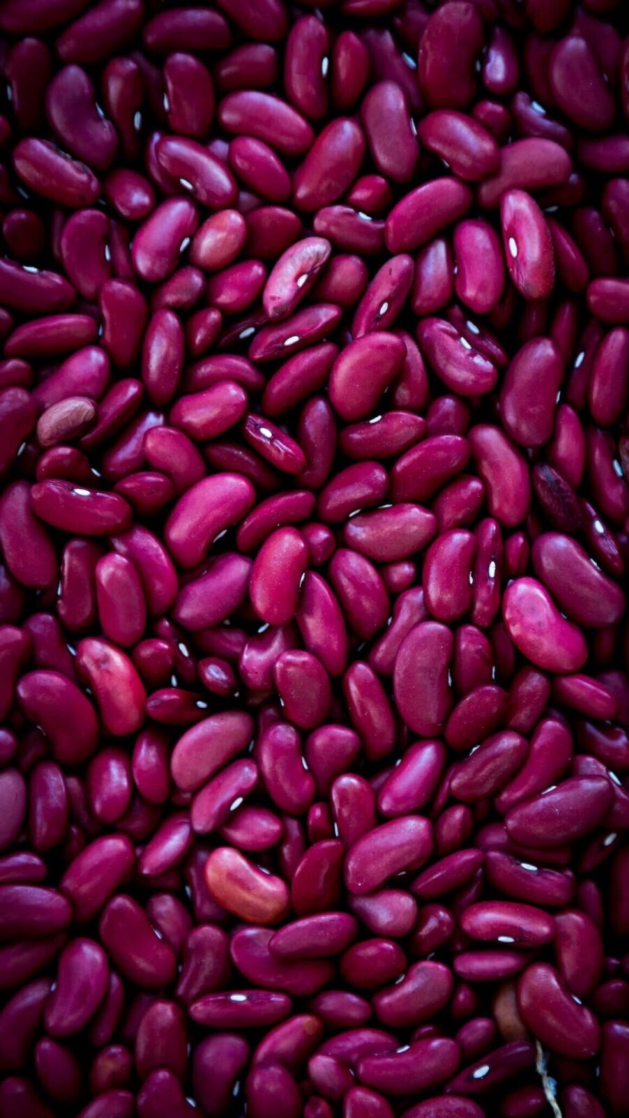 కిడ్నీ బీన్స్ తింటే కలిగే 5 ఆరోగ్య ప్రయోజనాలు