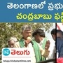 chandrababu chandrababu