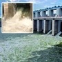 గుండ్లకమ్మ రిజర్వాయర్ 