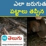 goods trains goods trains