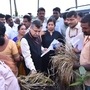 పొలాల్లో పాడైపోయిన వరి పంటను పరిశీలిస్తున్న కేంద్ర బృందం పొలాల్లో పాడైపోయిన వరి పంటను పరిశీలిస్తున్న కేంద్ర బృందం