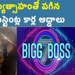 bigg boss contestants