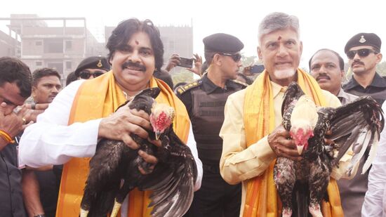 కోడి పుంజులతో పవన్, చంద్రబాబు&nbsp;