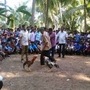 కోడి పందాలు కోడి పందాలు