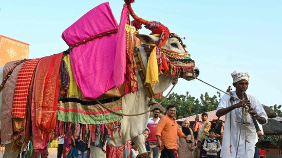 సంక్రాంతి సంబరాలు 