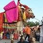 సంక్రాంతి సంబరాలు సంక్రాంతి సంబరాలు