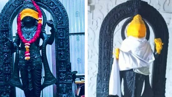 రామ్ లల్లా విగ్రహం మీద విష్ణువు పడి అవతారాలు కనిపిస్తాయి. ఈ 10 అవతారాలు – మత్స్య, కూర్మ, వరాహ, నరసింహ, వామన, పరశురాముడు, రాముడు, కృష్ణుడు, బుద్ధుడు, కల్కి అవతారాలకి సంబంధించిన చిన్న చిన్న విగ్రహాలు ఇరువైపులా కనిపిస్తాయి. రామ్ లల్లా విగ్రహం మీద విష్ణువు పడి అవతారాలు కనిపిస్తాయి. ఈ 10 అవతారాలు – మత్స్య, కూర్మ, వరాహ, నరసింహ, వామన, పరశురాముడు, రాముడు, కృష్ణుడు, బుద్ధుడు, కల్కి అవతారాలకి సంబంధించిన చిన్న చిన్న విగ్రహాలు ఇరువైపులా కనిపిస్తాయి. 