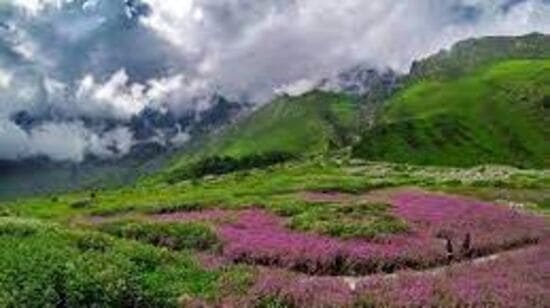 Valley Of Flowers, Uttarakhand: ఉత్తరాఖండ్‌లోని చమోలి జిల్లాలో ఉన్న వ్యాలీ ఆఫ్ ఫ్లవర్స్, గొప్ప జీవవైవిధ్యం మరియు అద్భుతమైన పూల ప్రదర్శనలకు ప్రసిద్ధి చెందిన యునెస్కో ప్రపంచ వారసత్వ ప్రదేశం. ఆర్కిడ్స్, పాపీస్, మేరిగోల్డ్‌లతో సహా వివిధ రకాల ఆల్పైన్ పువ్వులతో లోయ అలంకరించబడి ఉంటుంది,