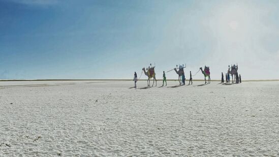 Rann Of Kutch, Gujarat: గుజరాత్‌లోని థార్ ఎడారిలో ఉన్న ప్రదేశమిది. ప్రత్యేకించి రాన్ ఉత్సవ సమయంలో ఇక్కడ సాంస్కృతిక ప్రదర్శనలు, హస్తకళలు, ప్రకాశవంతమైన రంగులతో ప్రాంతం అద్భుతంగా ఉంటుంది. నీలి ఆకాశం నేపథ్యంలో ఉండే తెల్లటి ఉప్పు ఫ్లాట్‌లు, ముఖ్యంగా సూర్యోదయం, సూర్యాస్తమయం సమయాల్లో మంత్రముగ్ధులను చేసే దృశ్యాలు కనిపిస్తాయి.