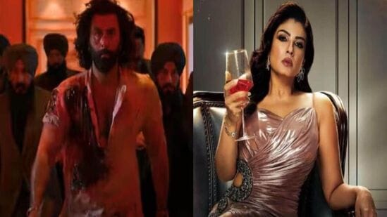 ఓటీటీలో సినిమాలు, వెబ్ సిరీస్‌లు చూసే వారికి ఈ వారం పండుగే అని చెప్పొచ్చు. బాక్సాఫీస్ వద్ద భారీ కలెక్షన్లు రాబట్టిన చాలా సినిమాలు ఈ వారం OTTలో విడుదలవుతున్నాయి. రణబీర్ కపూర్, రష్మిక మందన్న నటించిన యానిమల్, విక్కీ కౌశల్ నటించిన సామ్ బహదూర్ వంటి సినిమాలు OTTలో విడుదలవుతున్నాయి.&nbsp;