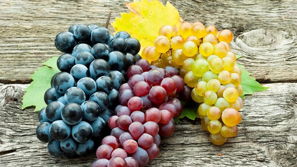Eating Grapes Everyday రోజూ ద్రాక్ష పండ్లు తింటే ఏమవుతుంది? ఎన్ని