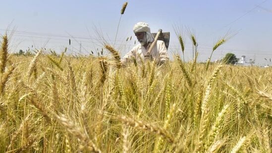 వ్యవసాయం: పంట కోత అనంతర కార్యకలాపాలు, నిల్వ, సప్లై చైన్‌లో ప్రైవేట్, ప్రభుత్వ పెట్టుబడులను ప్రోత్సహించాలని భారతదేశం యోచిస్తోంది, అదే సమయంలో నూనె గింజలలో స్వావలంబనను కూడా పెంచుతుంది. అంతేకాకుండా పాడి రైతుల అభివృద్ధికి సమగ్ర కార్యక్రమాన్ని ప్రారంభించడం, చేపల పెంపకంపై వ్యయాన్ని పెంచడం దీని లక్ష్యం.&nbsp;