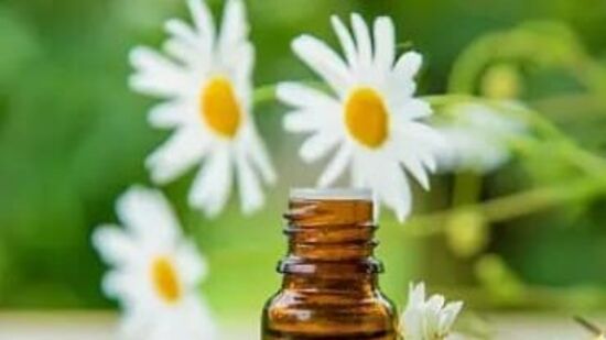 చామంతి శరీరంపై శాంతపరిచే ప్రభావాన్ని కలిగి ఉంటుంది. ఆందోళన మరియు ఒత్తిడి సంకేతాలను తగ్గించడంలో సహాయపడుతుంది.&nbsp;