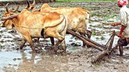 ప్రతి ఒక్కరికి పంట పెట్టుబడి సాయం అందజేస్తామని కొడంగల్ సభ వేదికగా ప్రకటన చేసిన సీఎం రేవంత్ రెడ్డి… మరోసారి ఆర్థికశాఖకు ఆదేశాలు ఇచ్చారు. పది రోజుల్లో నిధుల జమ ప్రక్రియ పూర్తి కావాలని ఆదేశించారు.