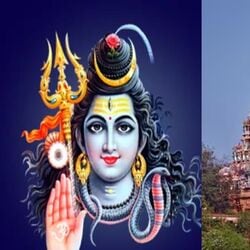 <p>హిందూమతంలో అనేక ప్రత్యేక ఆచారాలు ఉన్నాయి. ప్రతి దేవతను ఒక ప్రత్యేకమైన పండుగ, ఆచారం ద్వారా పూజిస్తారు. మహాశివరాత్రి శివునికి అంకితం చేయబడిన పండుగ. ఈ రోజున శివుడిని అత్యంత భక్తిశ్రద్ధలతో పూజిస్తారు. ఆ రోజున శివుని భక్తులు జాగరణ మరియు ఉపవాసం చేస్తారు. శివుడిని త్రిమూర్తుల లయ కారకుడు అని పిలుస్తారు. ఈ రోజు శివుని పూజించడం వల్ల విశ్వాన్ని రక్షించే వ్యక్తి కూడా ఆయనే అని నమ్ముతారు. మహా శివరాత్రి రోజున శివుని దర్శించడం ద్వారా శివుని అనుగ్రహం లభిస్తుందని చెబుతారు. ఆ రోజున ప్రముఖ ఆలయాల్లో ప్రత్యేక పూజలు నిర్వహిస్తారు. దక్షిణ భారతదేశంలోని ప్రతి రాష్ట్రంలో శివాలయాలను చూడవచ్చు. వాటిలో కొన్ని బాగా ఫేమస్ అయ్యాయి. శివుడు వివిధ రూపాలలో భక్తులను ఆశీర్వదిస్తాడని విశ్వసిస్తారు. శివరాత్రి పర్వదినం సందర్భంగా మీరు కూడా ఈ ఆలయాల గురించి తప్పక తెలుసుకోవాలి.</p>