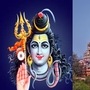 హిందూమతంలో అనేక ప్రత్యేక ఆచారాలు ఉన్నాయి. ప్రతి దేవతను ఒక ప్రత్యేకమైన పండుగ, ఆచారం ద్వారా పూజిస్తారు. మహాశివరాత్రి శివునికి అంకితం చేయబడిన పండుగ. ఈ రోజున శివుడిని అత్యంత భక్తిశ్రద్ధలతో పూజిస్తారు. ఆ రోజున శివుని భక్తులు జాగరణ మరియు ఉపవాసం చేస్తారు. శివుడిని త్రిమూర్తుల లయ కారకుడు అని పిలుస్తారు. ఈ రోజు శివుని పూజించడం వల్ల విశ్వాన్ని రక్షించే వ్యక్తి కూడా ఆయనే అని నమ్ముతారు. మహా శివరాత్రి రోజున శివుని దర్శించడం ద్వారా శివుని అనుగ్రహం లభిస్తుందని చెబుతారు. ఆ రోజున ప్రముఖ ఆలయాల్లో ప్రత్యేక పూజలు నిర్వహిస్తారు. దక్షిణ భారతదేశంలోని ప్రతి రాష్ట్రంలో శివాలయాలను చూడవచ్చు. వాటిలో కొన్ని బాగా ఫేమస్ అయ్యాయి. శివుడు వివిధ రూపాలలో భక్తులను ఆశీర్వదిస్తాడని విశ్వసిస్తారు. శివరాత్రి పర్వదినం సందర్భంగా మీరు కూడా ఈ ఆలయాల గురించి తప్పక తెలుసుకోవాలి. <p>హిందూమతంలో అనేక ప్రత్యేక ఆచారాలు ఉన్నాయి. ప్రతి దేవతను ఒక ప్రత్యేకమైన పండుగ, ఆచారం ద్వారా పూజిస్తారు. మహాశివరాత్రి శివునికి అంకితం చేయబడిన పండుగ. ఈ రోజున శివుడిని అత్యంత భక్తిశ్రద్ధలతో పూజిస్తారు. ఆ రోజున శివుని భక్తులు జాగరణ మరియు ఉపవాసం చేస్తారు. శివుడిని త్రిమూర్తుల లయ కారకుడు అని పిలుస్తారు. ఈ రోజు శివుని పూజించడం వల్ల విశ్వాన్ని రక్షించే వ్యక్తి కూడా ఆయనే అని నమ్ముతారు. మహా శివరాత్రి రోజున శివుని దర్శించడం ద్వారా శివుని అనుగ్రహం లభిస్తుందని చెబుతారు. ఆ రోజున ప్రముఖ ఆలయాల్లో ప్రత్యేక పూజలు నిర్వహిస్తారు. దక్షిణ భారతదేశంలోని ప్రతి రాష్ట్రంలో శివాలయాలను చూడవచ్చు. వాటిలో కొన్ని బాగా ఫేమస్ అయ్యాయి. శివుడు వివిధ రూపాలలో భక్తులను ఆశీర్వదిస్తాడని విశ్వసిస్తారు. శివరాత్రి పర్వదినం సందర్భంగా మీరు కూడా ఈ ఆలయాల గురించి తప్పక తెలుసుకోవాలి.</p>