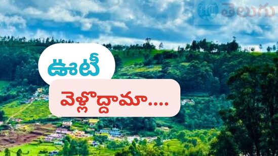 ఊటీ టూర్ ప్యాకేజీ