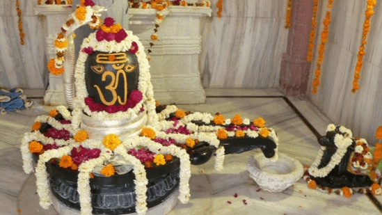 వృత్తిలో పురోగతి సాధించడానికి మహాశివరాత్రి రోజు శివాలయం సందర్శించి 11 దీపాలను వెలిగించాలి. అదే సమయంలో ఓం నమః శివాయ అనే మంత్రాన్ని జపించాలి.