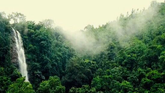అనంతగిరి హిల్స్ - అనంతగిరి కొండలు(Anantagiri Hills) కాఫీ తోటలు, సుందరమైన అడవులకు ప్రసిద్ధి. ఇక్కడి కొండలు, లోయలు, కొండల మధ్య నుంచి మూసీ నది పర్యాటకులను కట్టిపడేస్తాయి. ట్రెక్కింగ్, క్యాంపింగ్‌కు అనువైన ప్లేస్. అనంతగిరి హిల్స్ ఫారెస్ట్, అనంత పద్మనాభ స్వామి టెంపుల్, అనంతగిరి హిల్స్ వ్యూపాయింట్ ఇక్కడ చూడదగిన ప్రదేశాలు. తెలంగాణలోని వికారాబాద్ జిల్లాలో ఉంది. హైదరాబాద్ నుంచి 75 కి.మీ దూరంలో ఉంది.&nbsp;