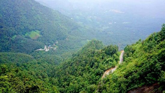 నల్లమల కొండలు - నల్లమల కొండలు(Nallamala Hills) ఏపీ, తెలంగాణలో విస్తరించి ఉన్నాయి. ఈ కొండలలో శ్రీశైలం అభయారణ్యం ఉంది. భారతదేశంలోని అతిపెద్ద పులుల సంరక్షణ కేంద్రాలలో శ్రీశైలం ఒకటి. ఇక్కడ శ్రీశైలం ఆలయం, రోప్ వే, బోటింగ్ చూడదగిన ప్రదేశాలు. నల్లమల కొండలు హైదరాబాద్ నుంచి 85 కి.మీ దూరంలో ఉన్నాయి. &nbsp;