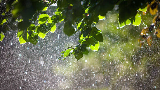 తెలంగాణతో పాటు ఏపీకి వర్ష సూచన ఇచ్చింది ఐఎండీ. వచ్చే నాలుగైదు రోజులపాటు తెలంగాణవ్యాప్తంగా &nbsp;పలు జిల్లాల్లో ఉరుములు, మెరుపులతో కూడిన వర్షాలు కురిసే అవకాశం ఉందని హైదరాబాద్ వాతావరణ శాఖ తెలిపింది.