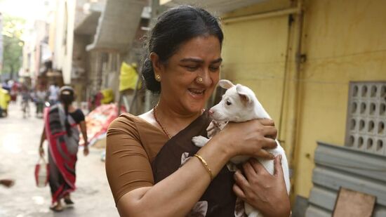 జే బేబీ మూవీ ఐఎమ్‌డీబీలో 9.1 రేటింగ్‌ను ద‌క్కించుకున్న‌ది. క‌మ‌ర్షియ‌ల్‌గా మాత్రం ఈ మూవీ విజ‌యాన్ని సాధించ‌లేక‌పోయింది.&nbsp;
