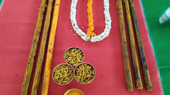 అంతకుముందు గర్భాలయం లోపల పసుపు కొమ్ములకు, రోకళ్లకు స్వామి పాదాల చెంత ప్రత్యేక పూజలను అర్చక స్వాములు సశాస్త్రీయంగా చేశారు.