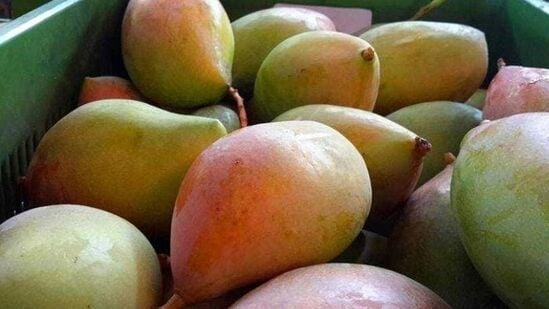 నూర్జహాన్, &nbsp;మియాజాకి వంటి రకాల మామిడి పండ్లు ధర ఇంకా అధికంగా ఉంటుంది.