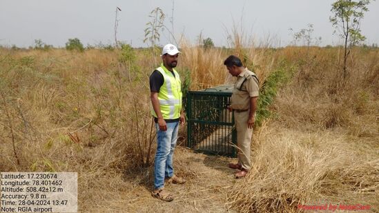 శంషాబాద్ ఎయిర్ పోర్ట్ రన్ వే పై వన్యప్రాణి సిబ్బంది, జూ అధికారులు ఆపరేషన్ చిరుత కొనసాగిస్తున్నారు. చిరుత కోసం రన్ వే పరిసర ప్రాంతాల్లో వెతుకుతున్నారు. శంషాబాద్ ఎయిర్ పోర్ట్ రన్ వే పై వన్యప్రాణి సిబ్బంది, జూ అధికారులు ఆపరేషన్ చిరుత కొనసాగిస్తున్నారు. చిరుత కోసం రన్ వే పరిసర ప్రాంతాల్లో వెతుకుతున్నారు. 