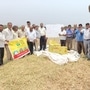 వరి వెద సాగుపై ప్రదర్శన