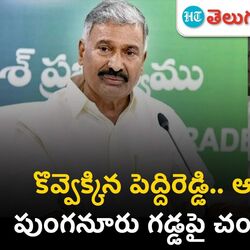 chandrababu