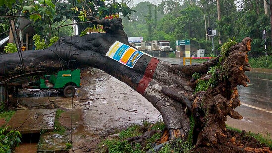 మృతుల్లో కొందరు నీటమునిగిపోగా, మరికొందరు&nbsp;ఇళ్లు కూలడంతో చనిపోయారని తీర ప్రాంత అధికారులు&nbsp;తెలిపారు.