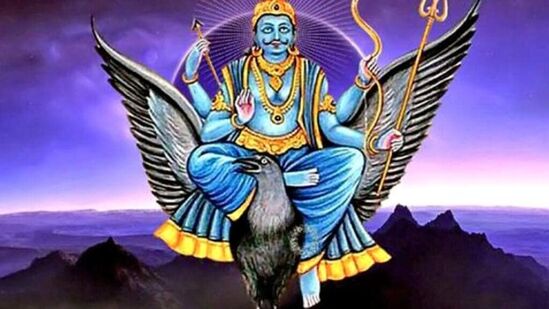 శనీశ్వరుడికి తొమ్మిది వాహనాలు. అందులో మొదటిది కాకి. గేదె, నెమలి, గుర్రం, సింహం, నక్క, ఏనుగు, గాడిద, హంస కూడా శనీ దేవుడి వాహనాలే.