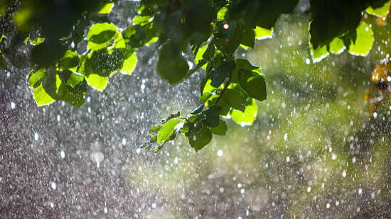 ఉత్తర రాయలసీమతో పాటు పరిసర ప్రాంతాలపై గల సముద్రమట్టానికి 1.5 కిమీ ఎత్తులో ఉన్న ఉపరిత ఆవర్తనం ప్రస్తుతం దక్షిణ తెలంగాణతో పాటు పొరుగు ప్రాంతాలపై కొనసాగుతున్నట్లు పేర్కొంది.&nbsp;