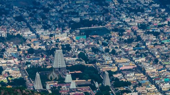 https://tourism.telangana.gov.in/p వెబ్ సైట్ లోకి వెళ్లి ఈ టూర్ ప్యాకేజీకి సంబంధించిన పూర్తి వివరాలను తెలుసుకోవచ్చు. బుకింగ్ కూడా చేసుకునే వీలు ఉంటుంది.