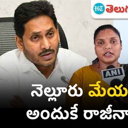 mayor of nellore