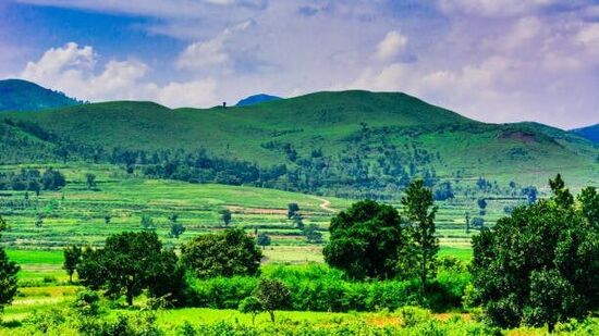 Araku Tour - Telangana Tourism పేరుతో ఈ ప్యాకేజీ అందుబాటులో ఉంటుంది.&nbsp;ప్రతి బుధవారం తేదీల్లో ఈ ప్యాకేజీ అందుబాటులో ఉంటుంది. 4 రోజులు ట్రిప్ కొనసాగుతుంది. అన్నవరం, సింహాచలం, వైజాగ్, ఆర్కే బీచ్, కైలాసగిరి, అరకులోని బొర్రా గుహలు, అనంతగిరితో పాటు మరికొన్ని ప్రాంతాలను చూస్తారు.