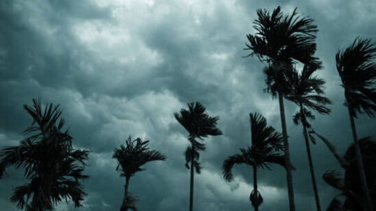 జూలై 1వ తేదీ నుంచి తేలికపాటి నుంచి మోస్తారు వర్షాలు మాత్రమే కురిసే అవకాశం ఉందని హైదరాబాద్ వాతావరణ కేంద్రం అంచనా వేసింది. ఎలాంటి హెచ్చరికలు లేవు. జూలై 1వ తేదీ నుంచి తేలికపాటి నుంచి మోస్తారు వర్షాలు మాత్రమే కురిసే అవకాశం ఉందని హైదరాబాద్ వాతావరణ కేంద్రం అంచనా వేసింది. ఎలాంటి హెచ్చరికలు లేవు.